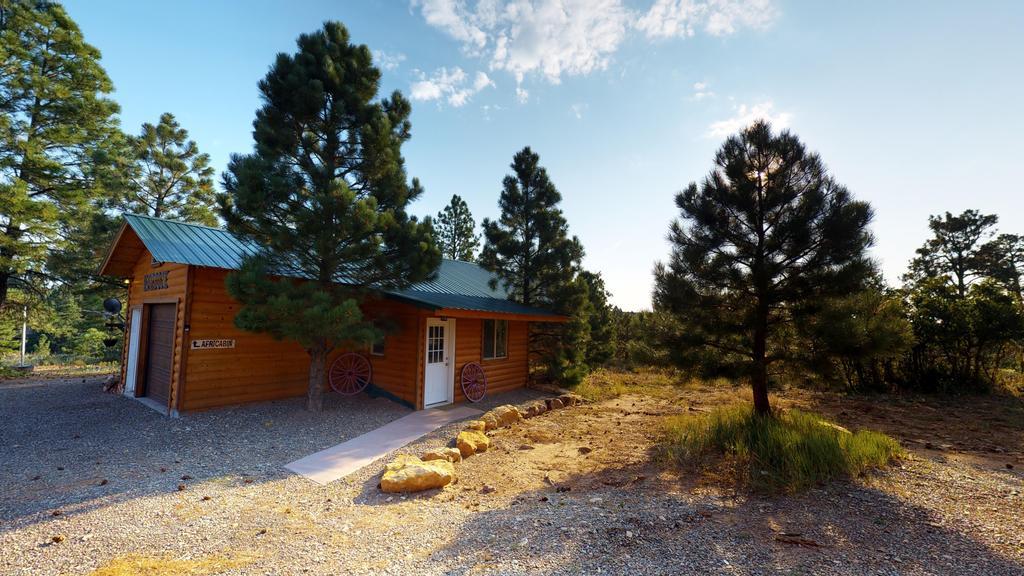Long View Cabin, Breakfast Deck Overlooking The Canyon! Monticello Exterior photo
